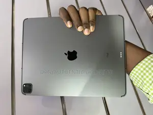 Apple iPad Pro 12.9 (2021) 512 GB Gray