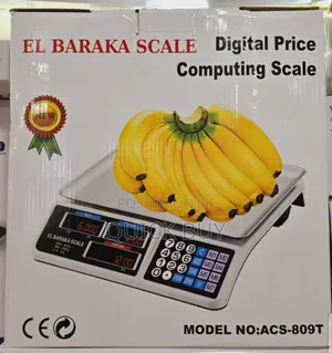 Highly Accurate Reliable Electronic Digital Computing Scale