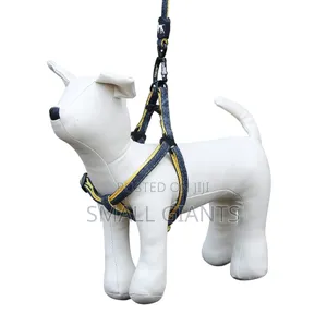 Adjustable Dog Harness Set With Leash
