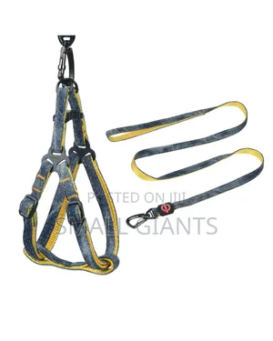 Adjustable Dog Harness Set With Leash