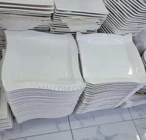 Dinner Plates a Dozen(12)