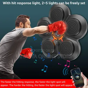 Smart Boxing Pad With Inbuilt Bluetooth Speaker and Gloves
