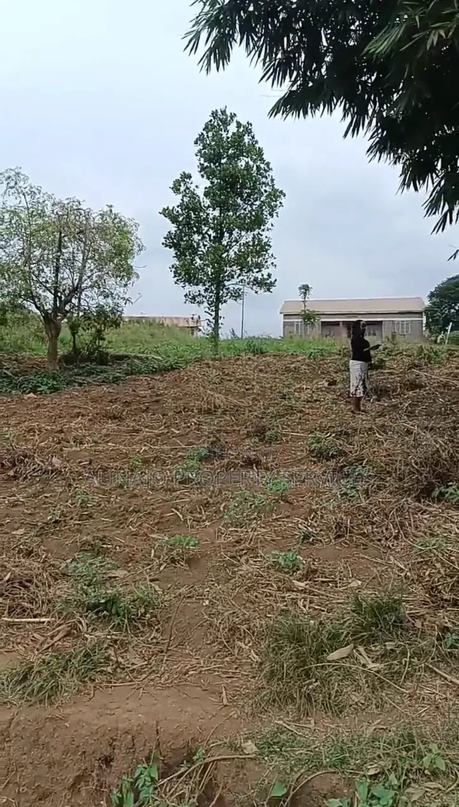 Kawuku Bwerenga Phase 2
