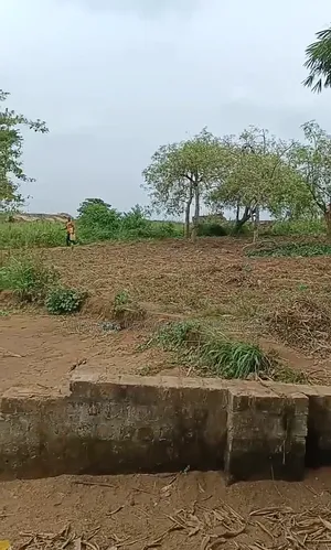 Kawuku Bwerenga Phase 2
