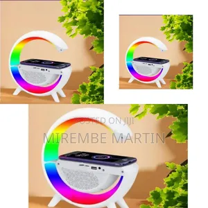 Electric Charging Speaker