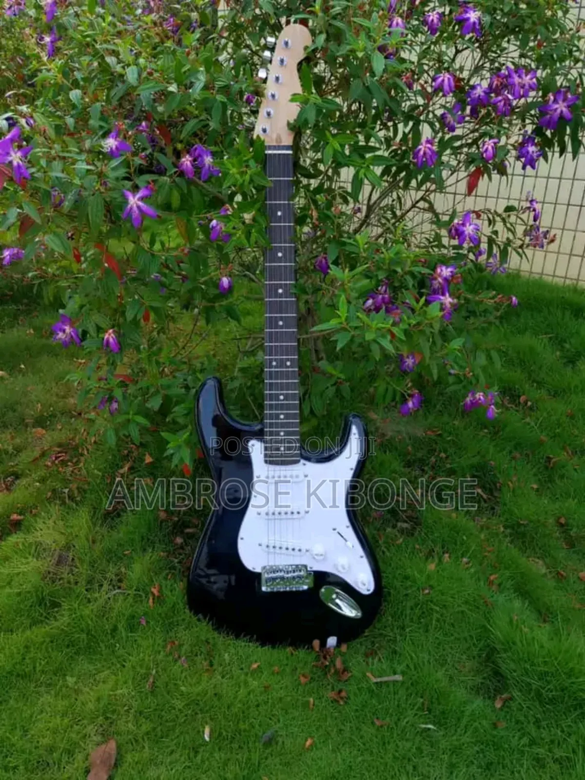 New STATOCASTER Fender Multicolored Solo Electric Guitars.