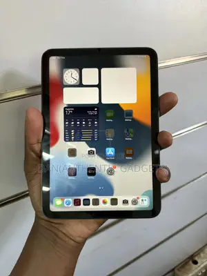 Apple iPad mini 6 64 GB Gray