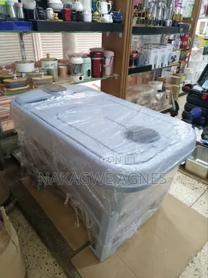 Foldable Electric Bathtub