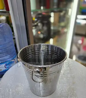Indoor and Outdoor Stainless Steel Ice Bucket