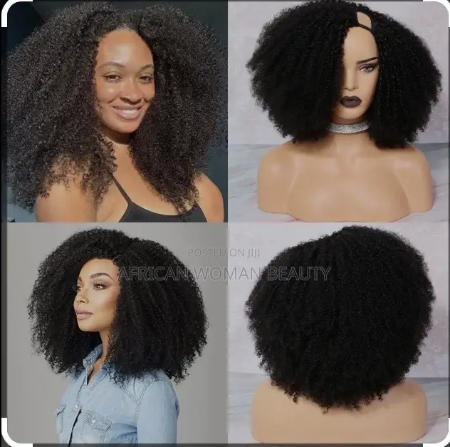 Afro Long Natural Curly Wig