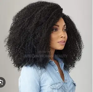Afro Long Natural Curly Wig