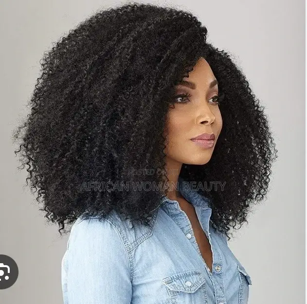 Afro Long Natural Curly Wig