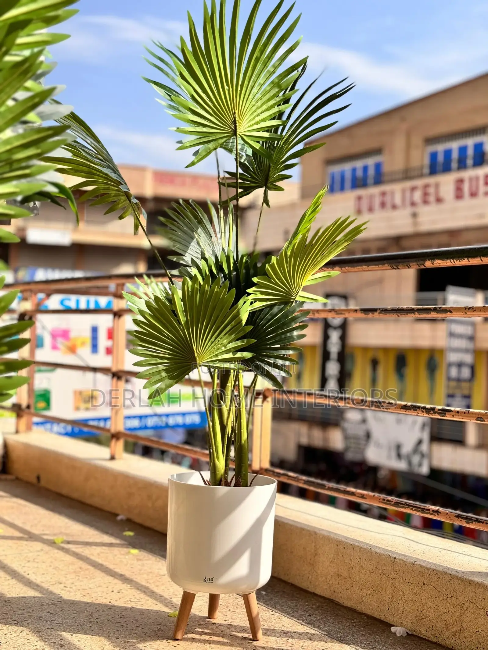 Artificial Plants