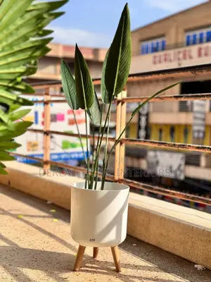 Quality Plants