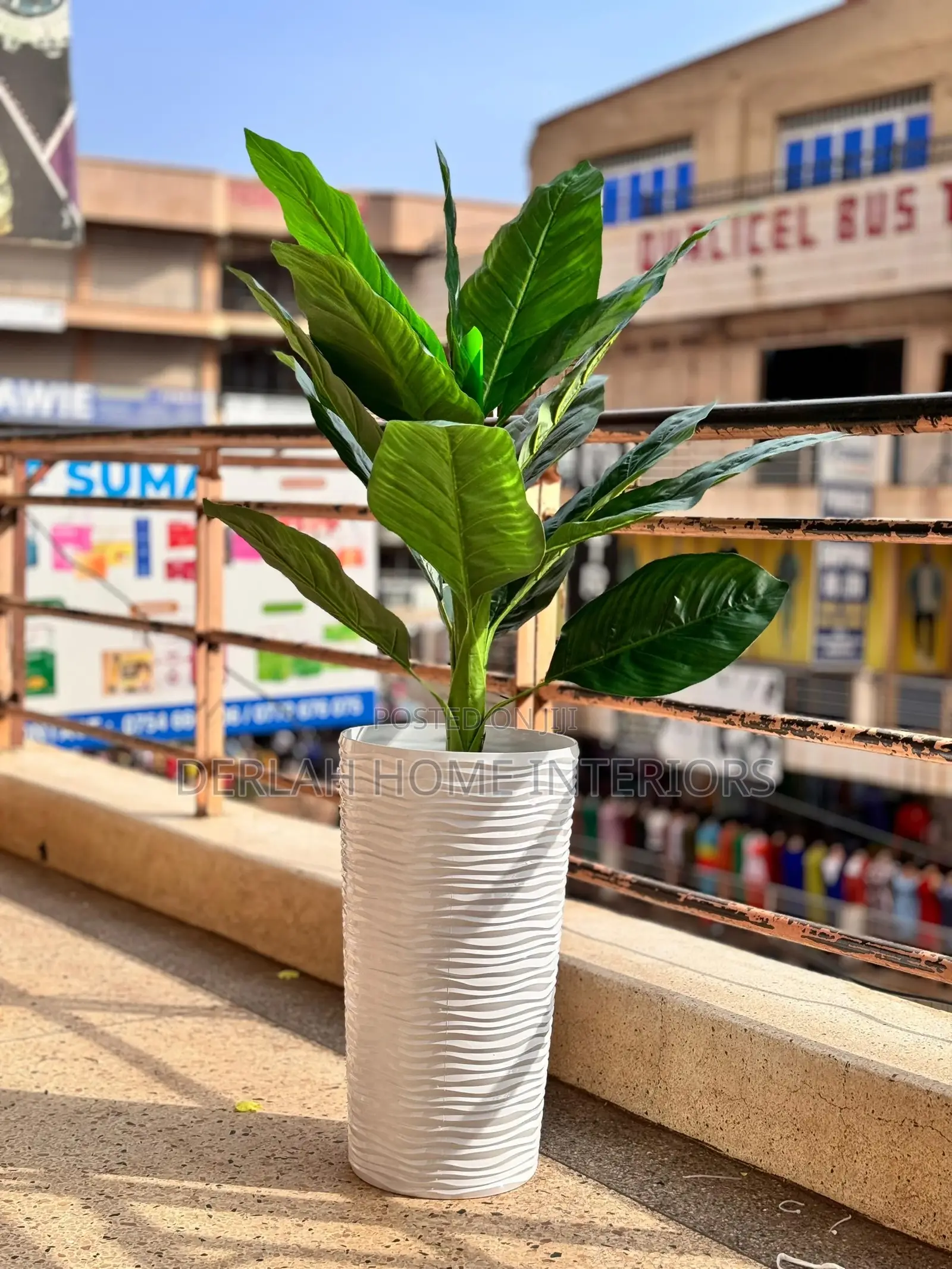 Quality Plants