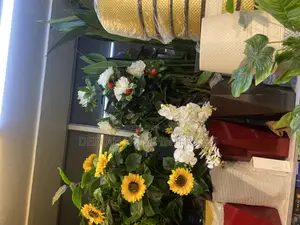 Quality Plants