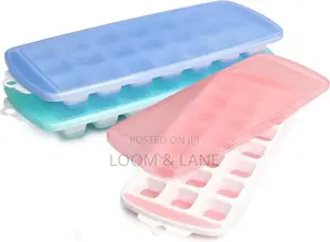 Ice Cube Tray With Removable Plastic Lid