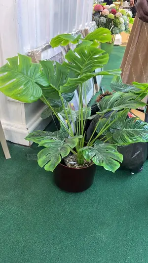 Artificial Plants