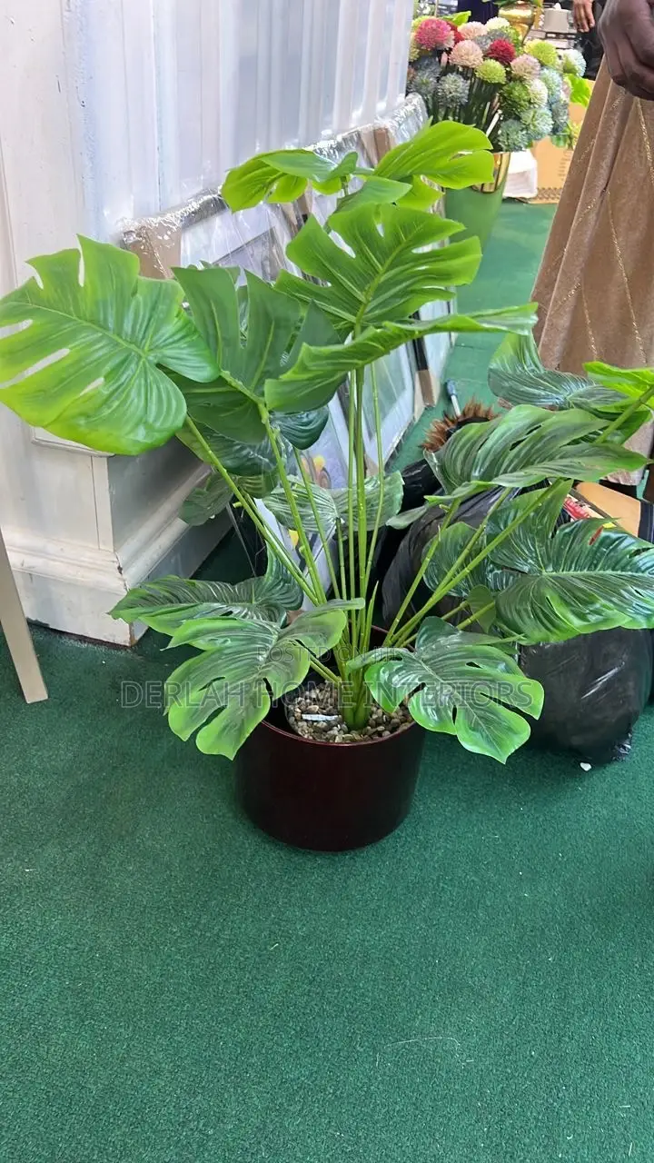 Artificial Plants