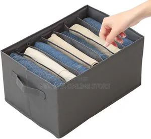 2pcs Cloth Organizers With Partitions