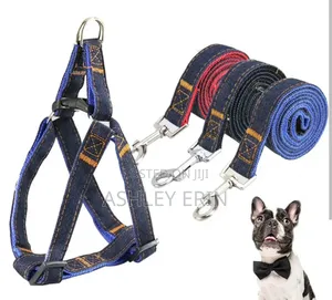 Durable Dog Collar Harness Leach