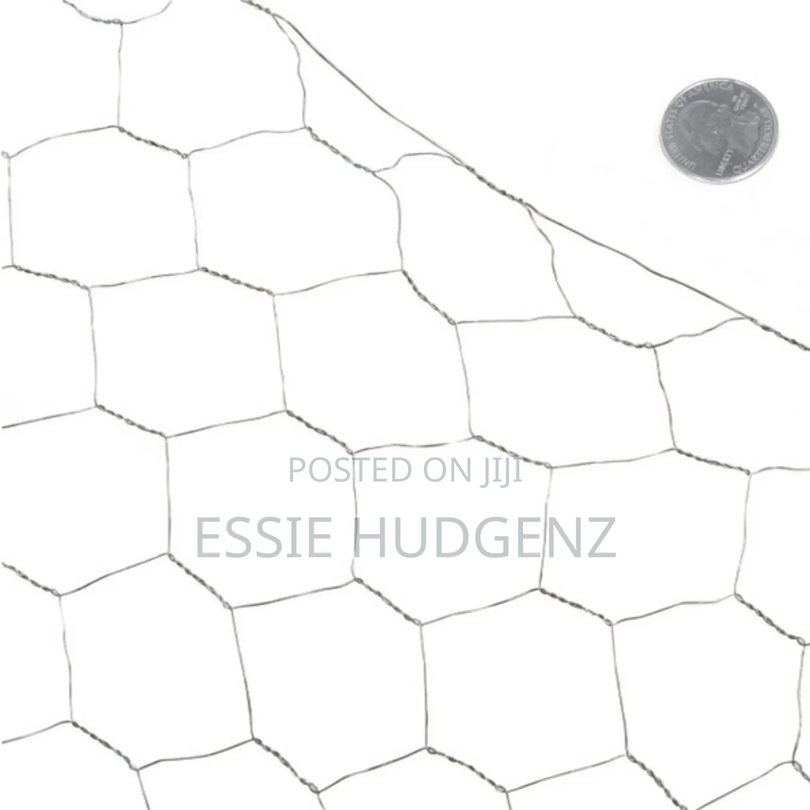 Chicken Wiremesh (2x20)M