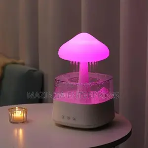 Raindrops Humidifier With Colourful Night Lights