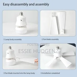 Ceiling Fan With Light