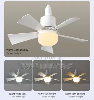 Ceiling Fan With Light