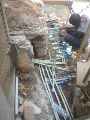 Trusted Professional Plumber
