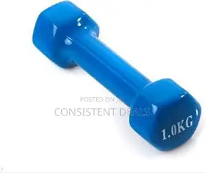1kg Vinyl Coated Hex Dumbell