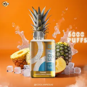 Multiple Flavors Elf Bar Te6000 Puffs Rechargeable Vape