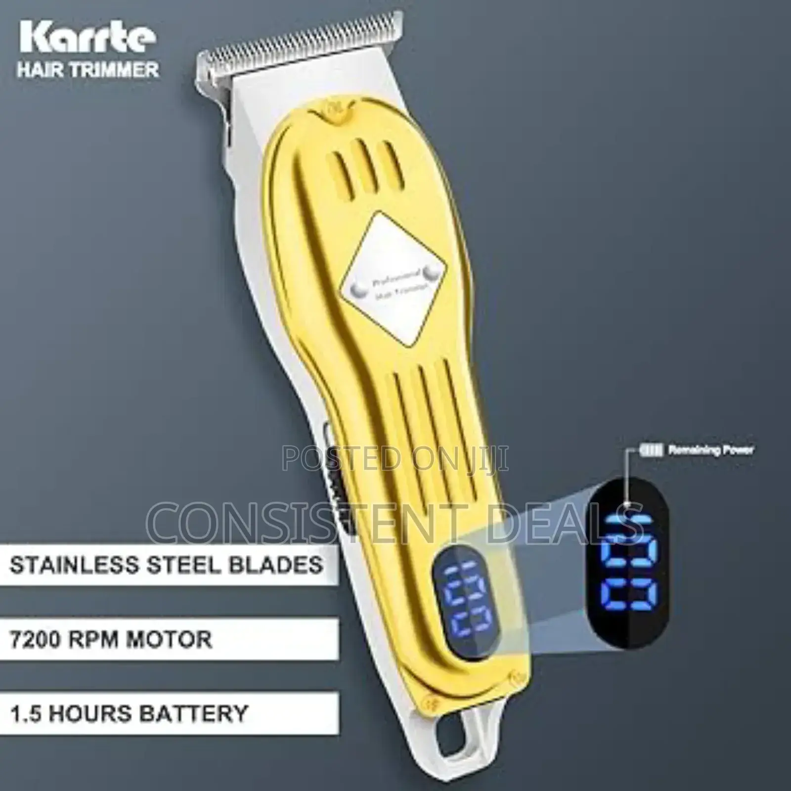 Professional Hair Clipper