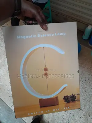 The Magnetic Smart Balance Lamp