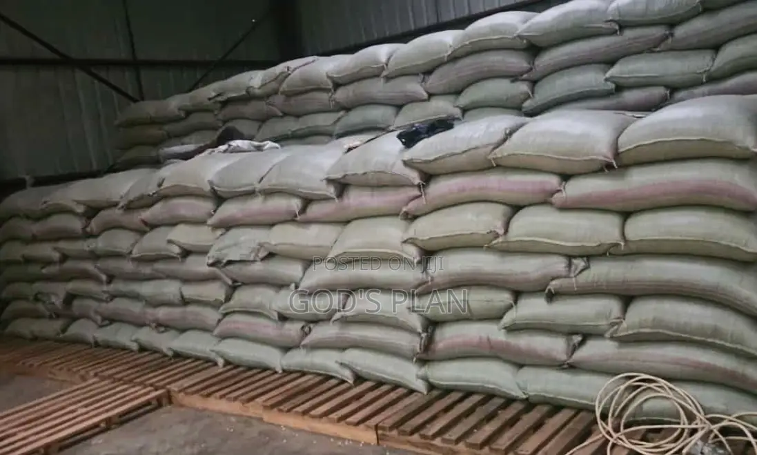Maize Gains Kasoli