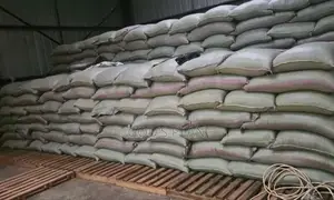 Maize Gains Kasoli