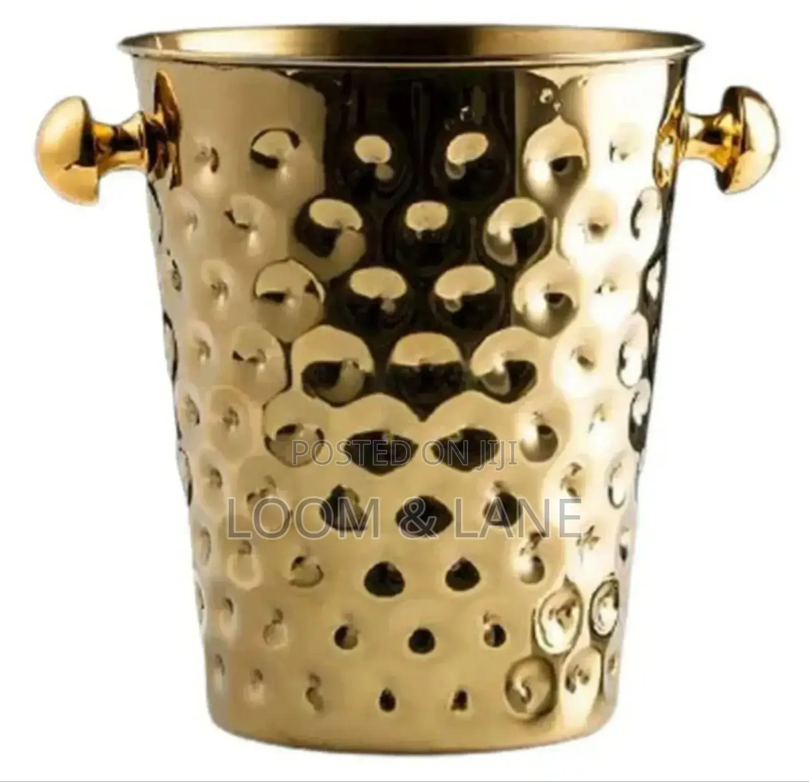 Noble Stainless Steel Luxury Ice Bucket