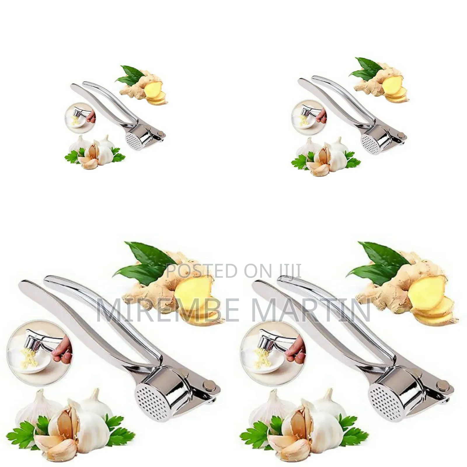 Stainless Garlic Press