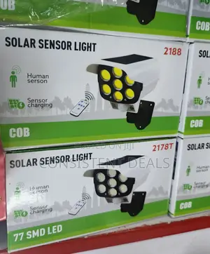 Outdoor Solar Sensor Lights