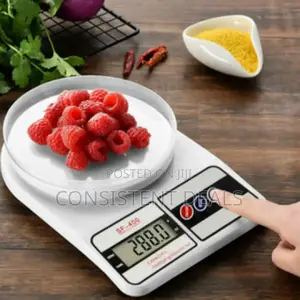 Portable Kitchen Digital Scale