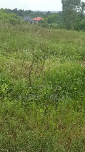 50x100 Plots for Sale in Najjembe