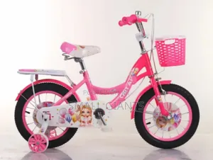Pretty Princess Bicycle