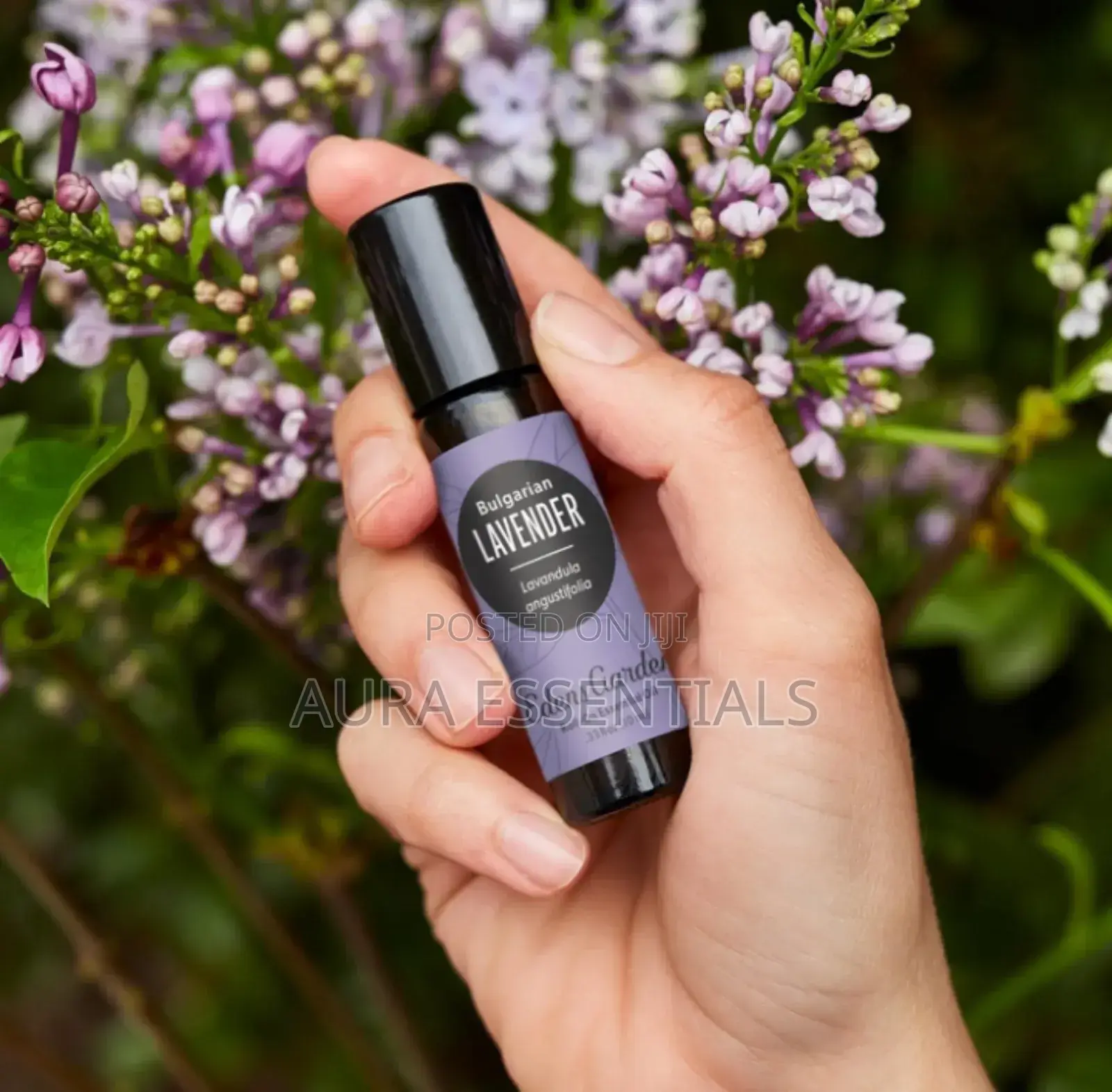 7pcs Essential Oil Set