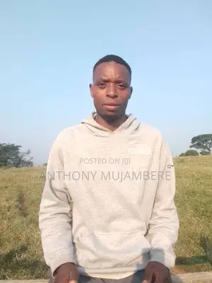Security Guard CV in Uganda