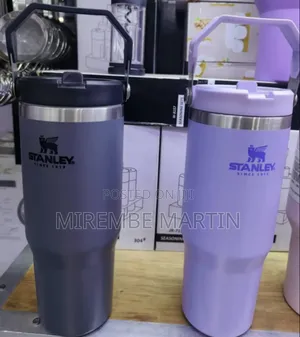 Double Vacuum Travel Cup