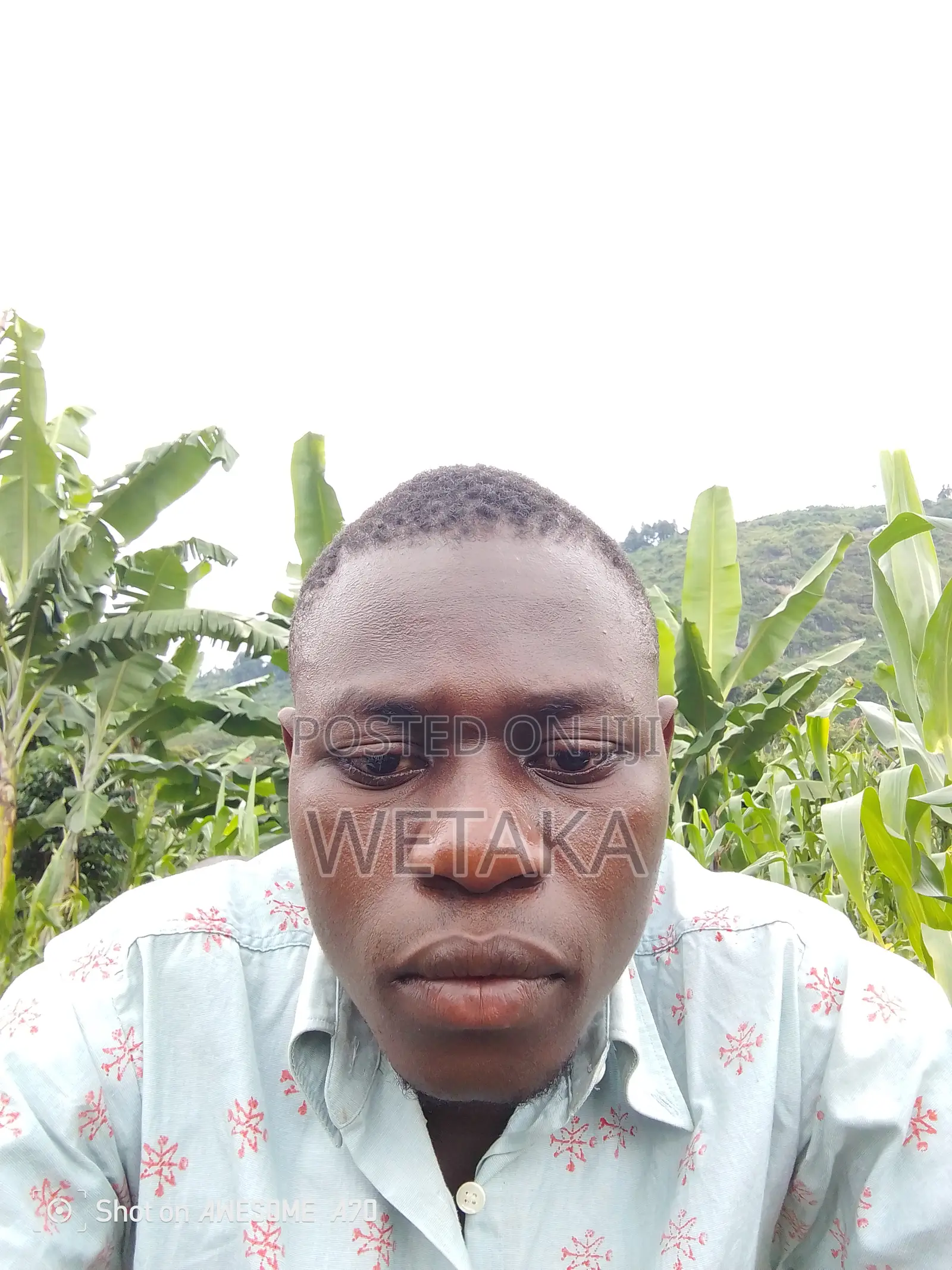 Primary School Mathematics Teacher