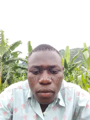 Primary School Mathematics Teacher
