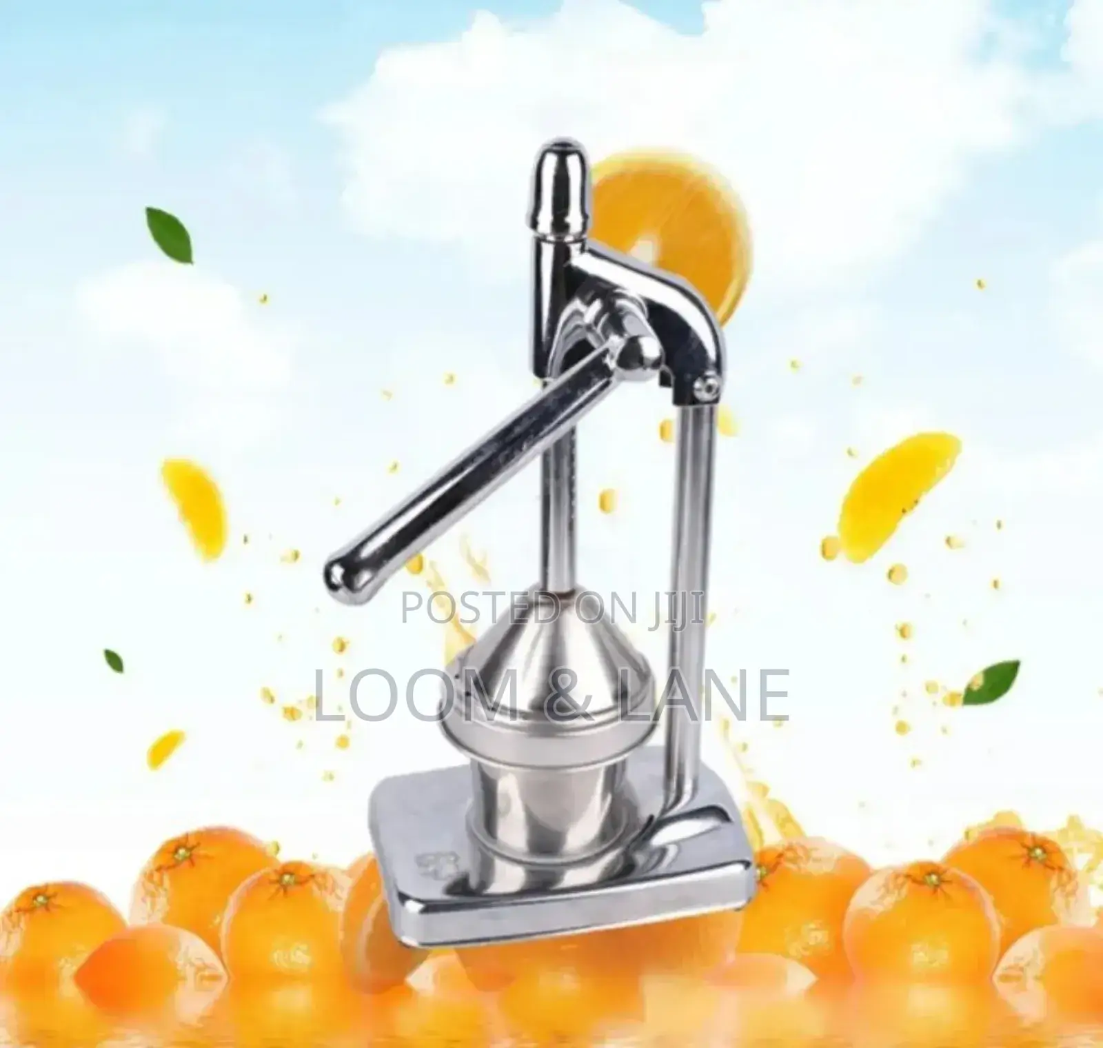 Stainless Steel Fruit Juice Presser