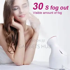 Facial Steamer Professional