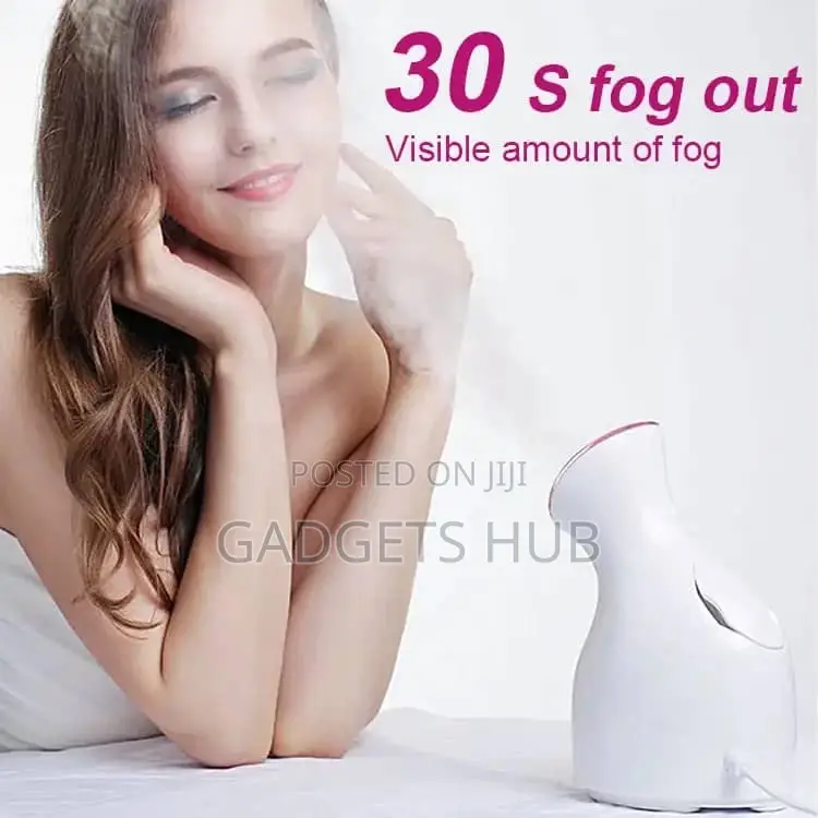 Facial Steamer Professional